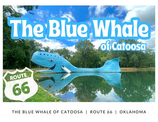 Blue Whale Postcard