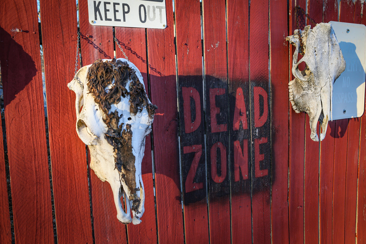 Dead Zone photographic print