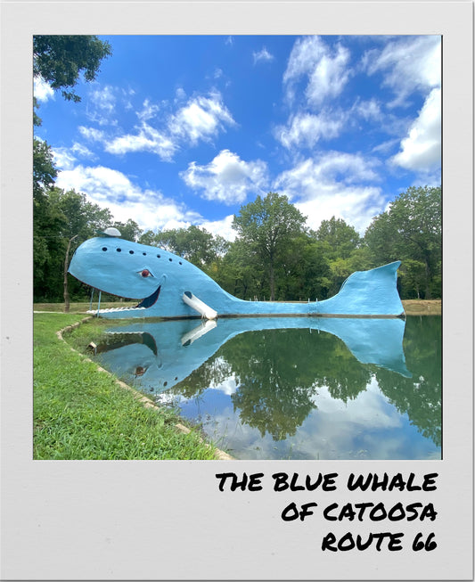 Wholesale Blue Whale Polaroid Sticker